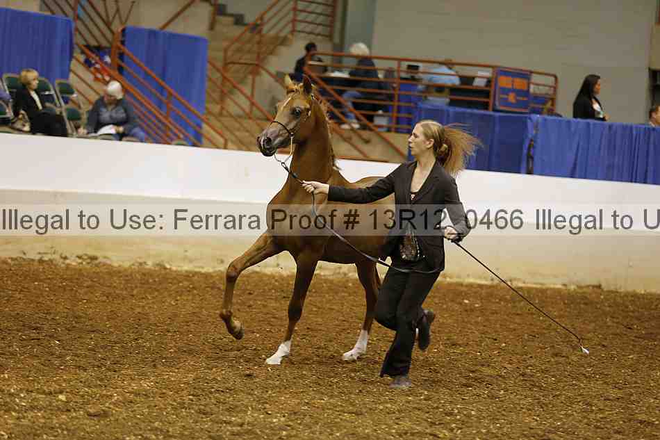 Proof Number 13r12_0466
