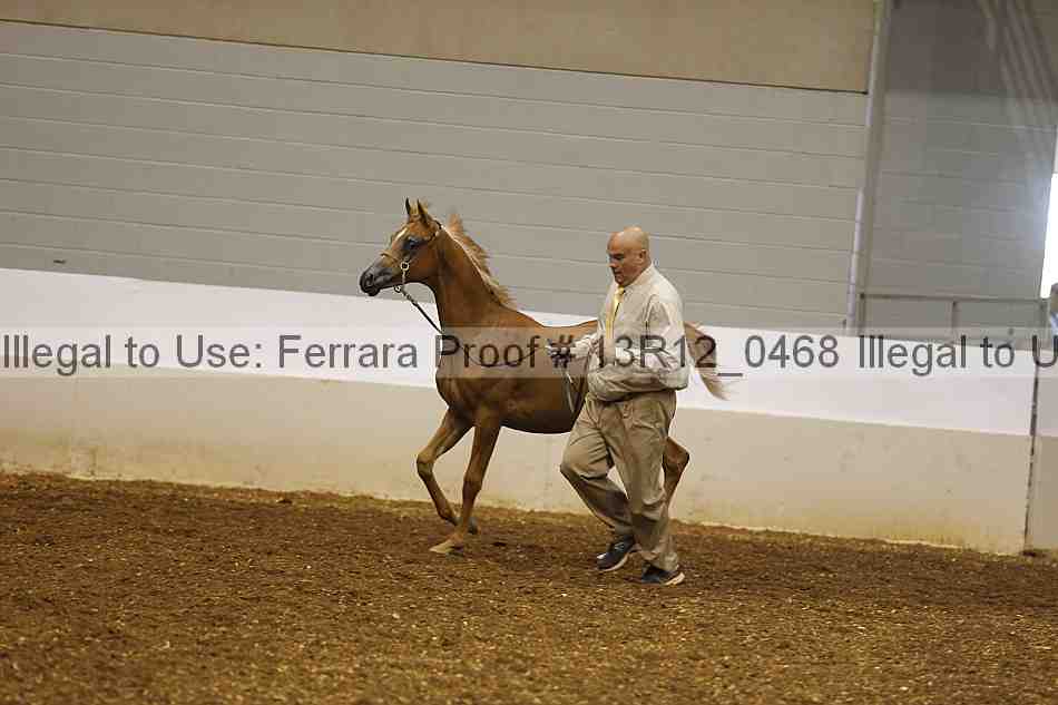 Proof Number 13r12_0468