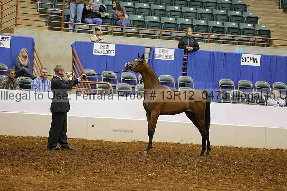 Proof Number 13r12_0473
