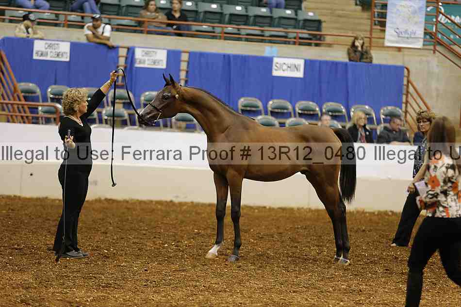 Proof Number 13r12_0480