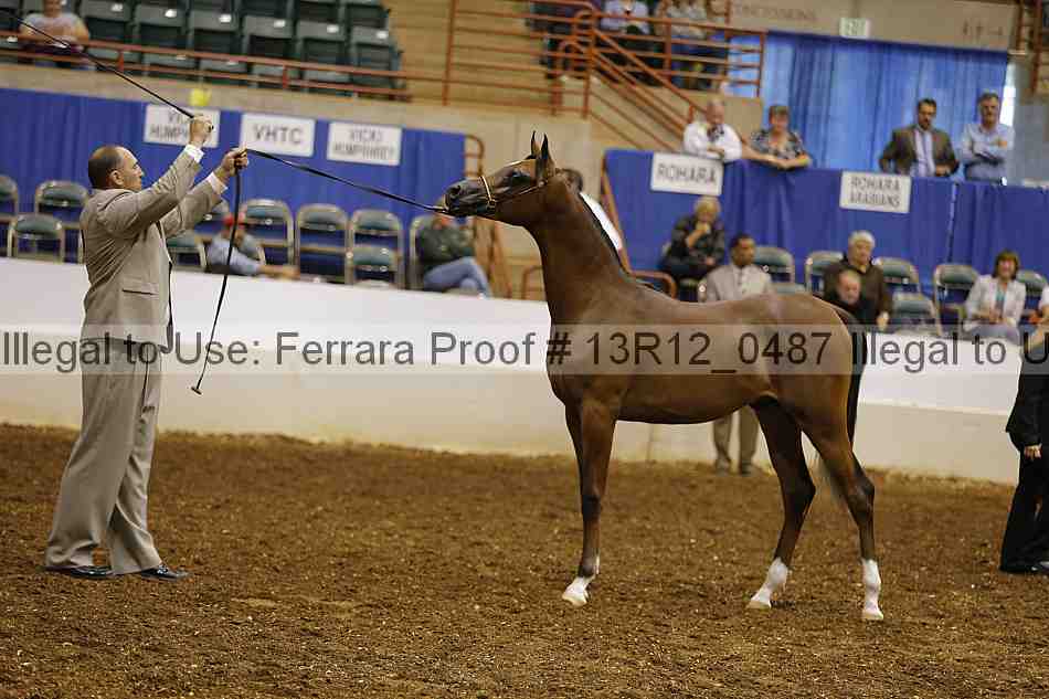 Proof Number 13r12_0487