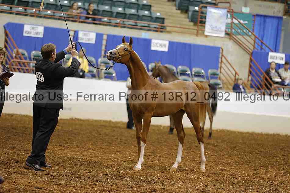 Proof Number 13r12_0492