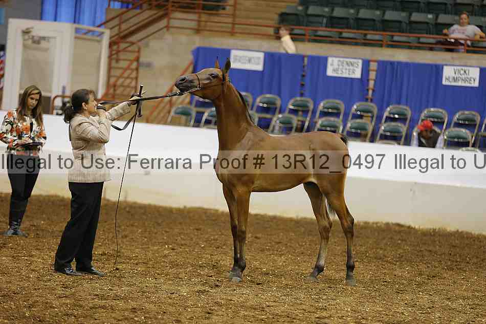 Proof Number 13r12_0497