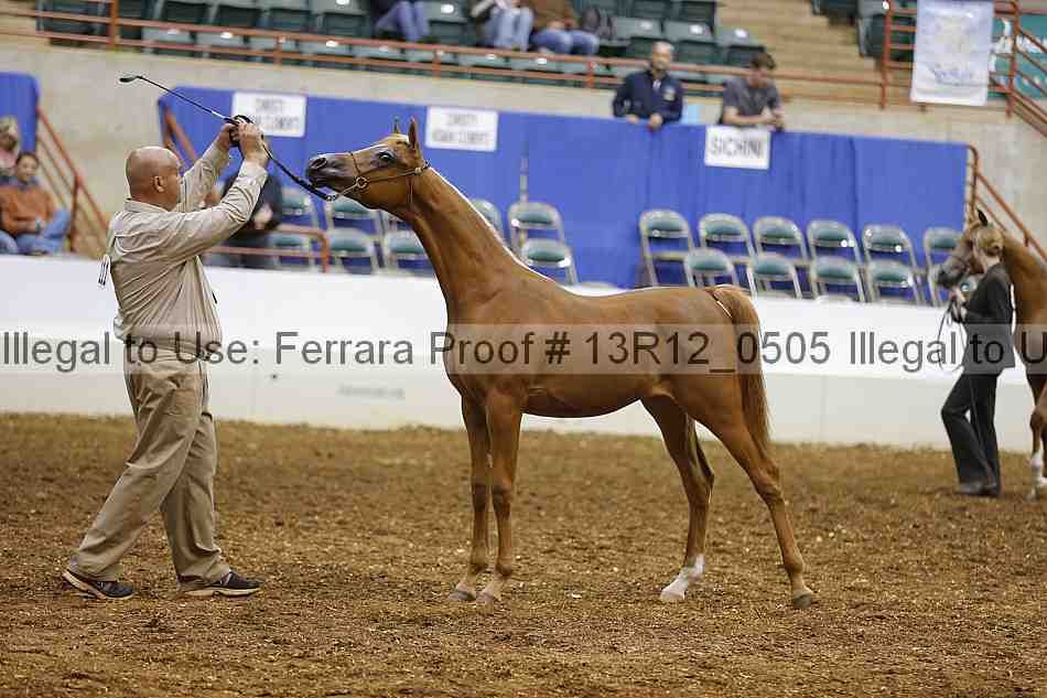 Proof Number 13r12_0505