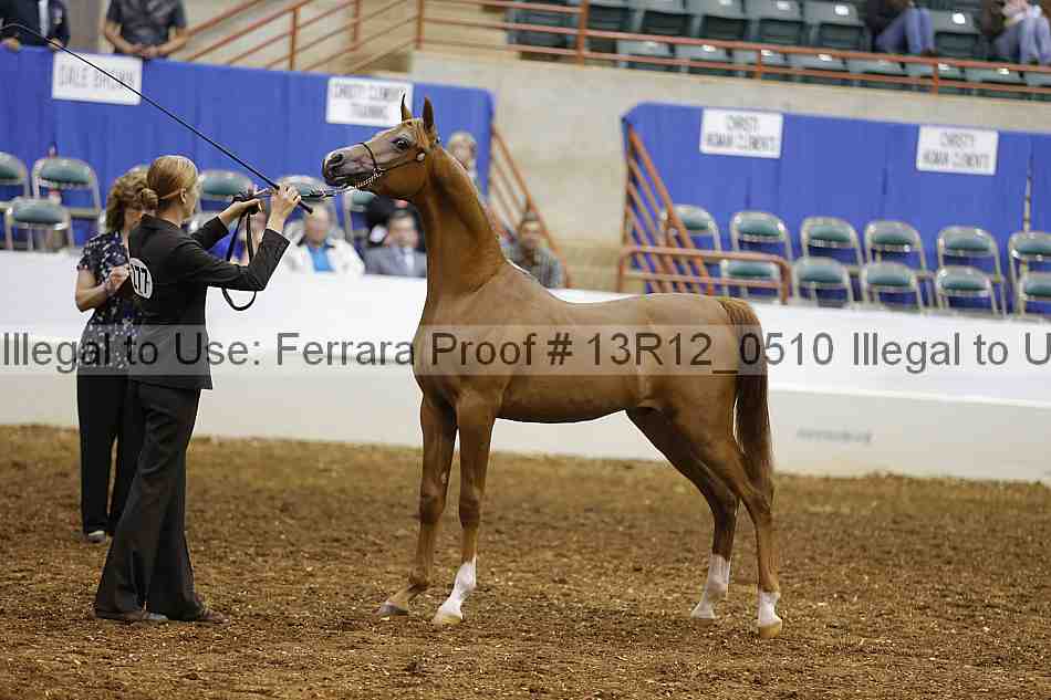 Proof Number 13r12_0510