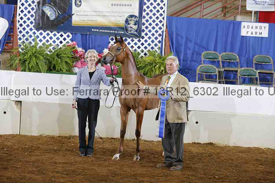 Proof Number 13r12_6302