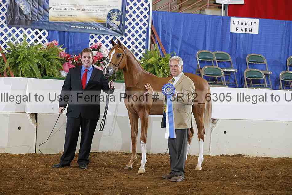Proof Number 13r12_6305