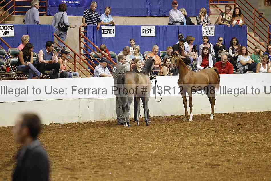 Proof Number 13r12_6308