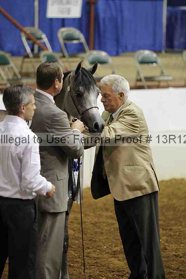 Proof Number 13r12_6311
