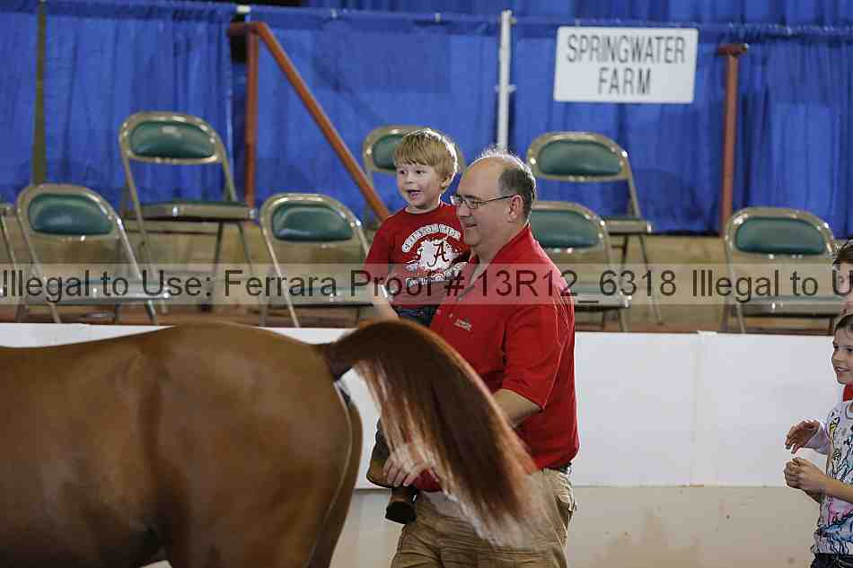 Proof Number 13r12_6318
