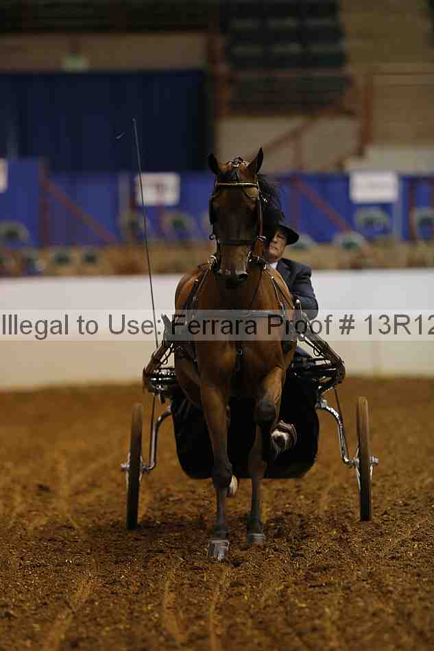 Proof Number 13r12_0538