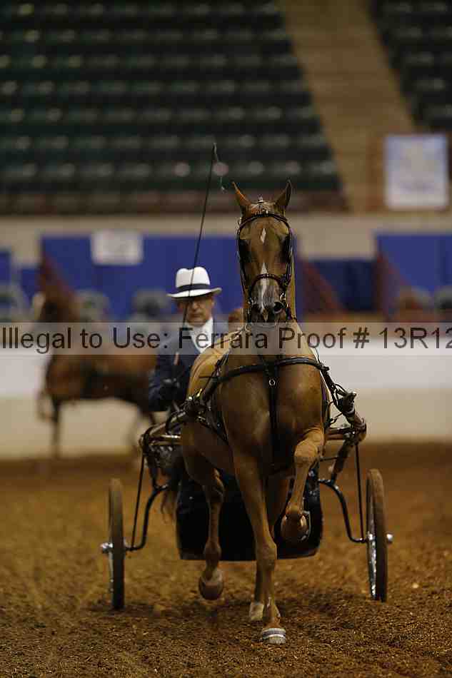 Proof Number 13r12_0540