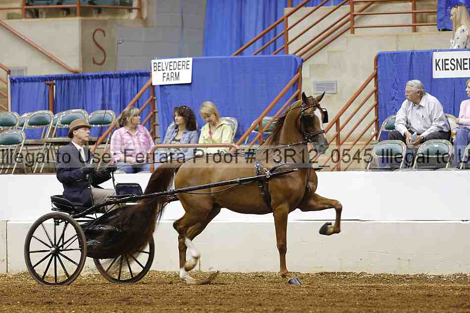 Proof Number 13r12_0545