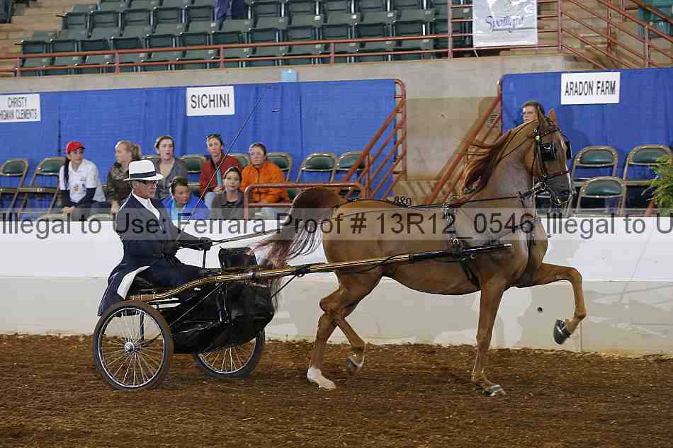 Proof Number 13r12_0546