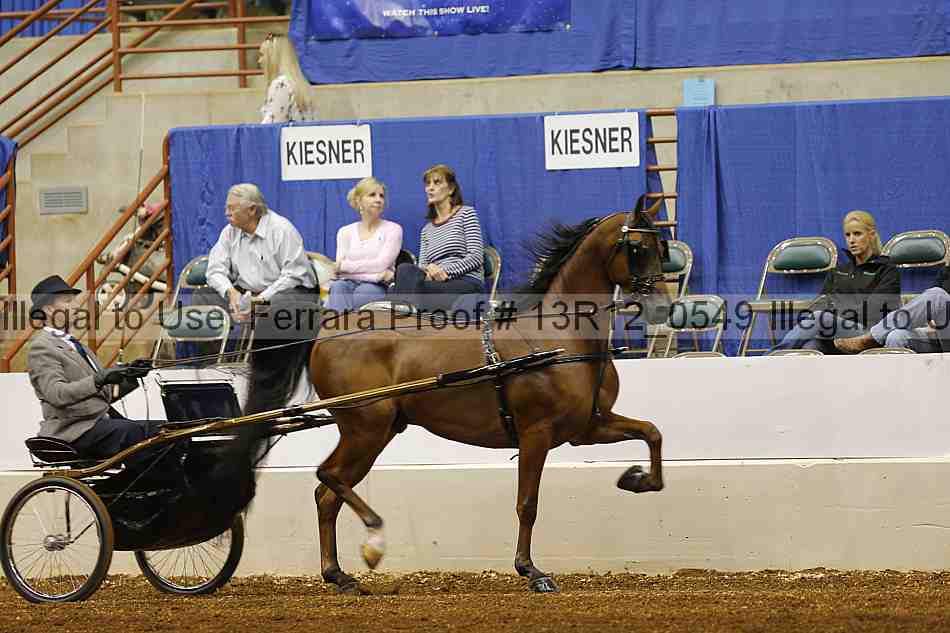 Proof Number 13r12_0549