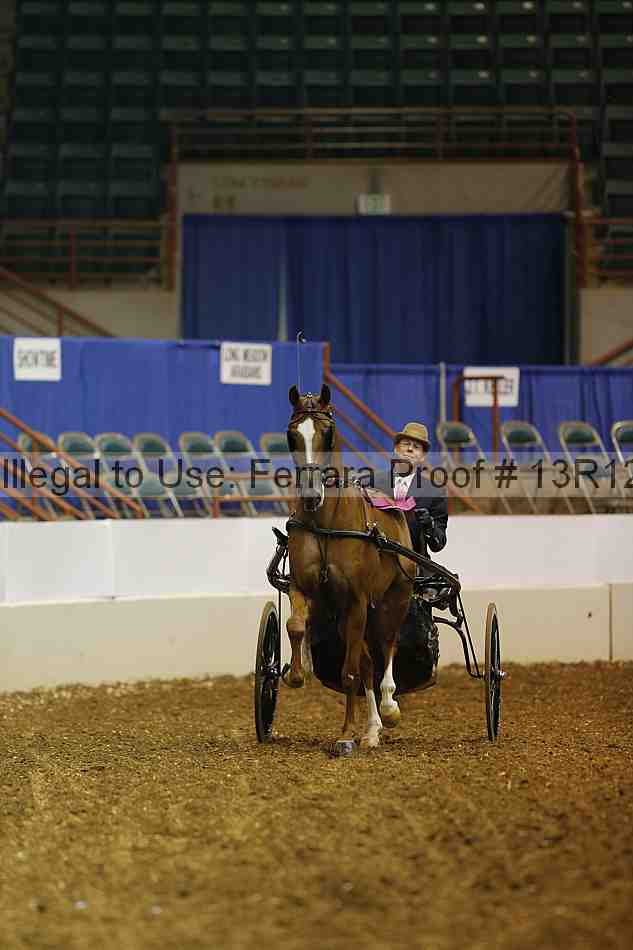 Proof Number 13r12_0558