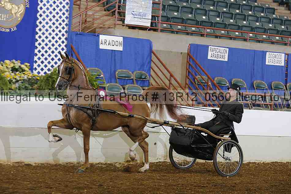 Proof Number 13r12_0560
