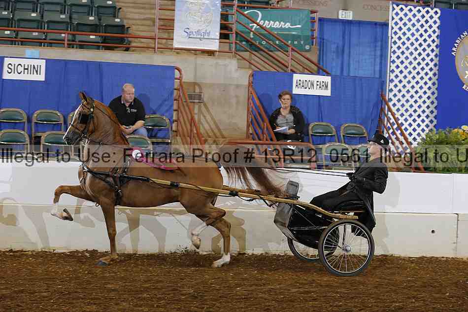 Proof Number 13r12_0561