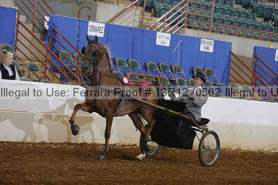 Proof Number 13r12_0562