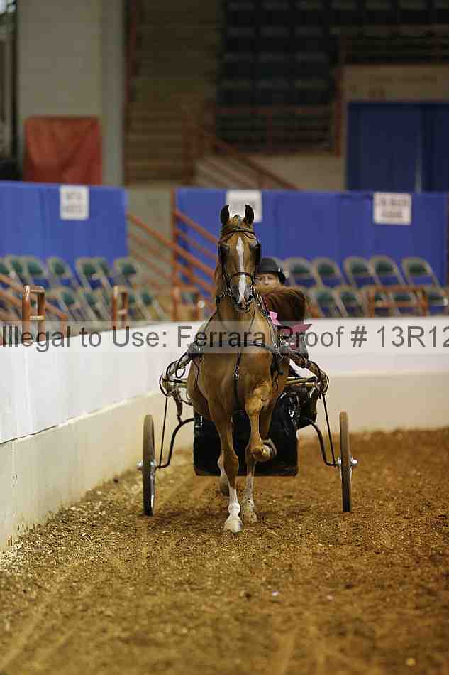 Proof Number 13r12_0563