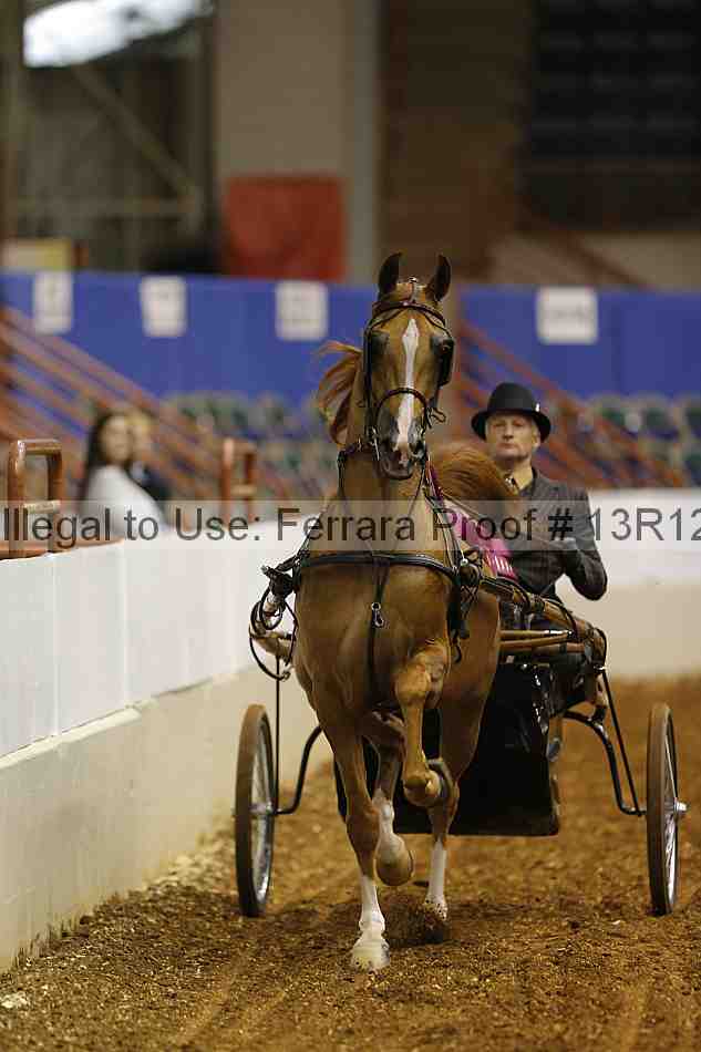 Proof Number 13r12_0565