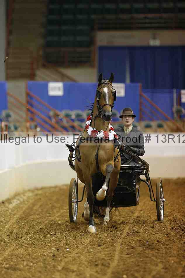 Proof Number 13r12_0571