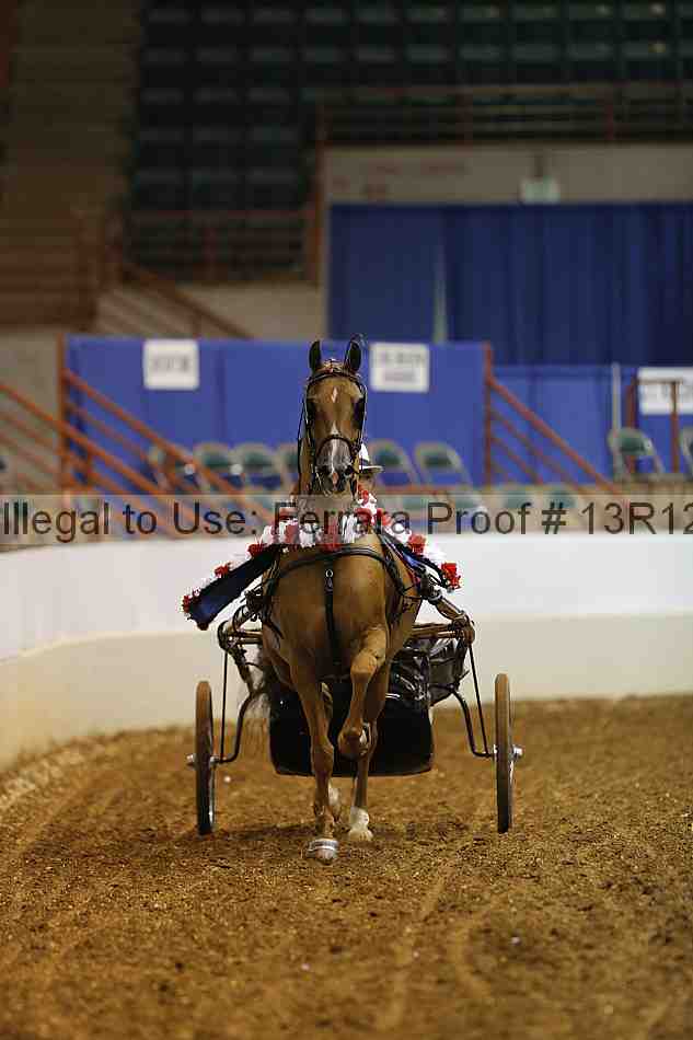 Proof Number 13r12_0575