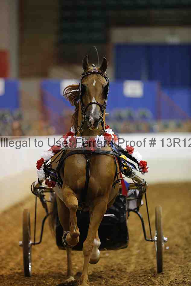 Proof Number 13r12_0576
