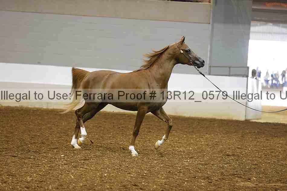 Proof Number 13r12_0579