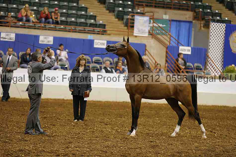 Proof Number 13r12_0596