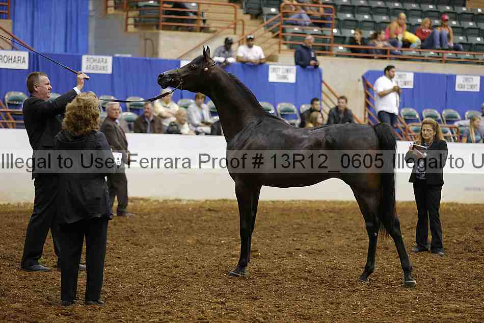 Proof Number 13r12_0605