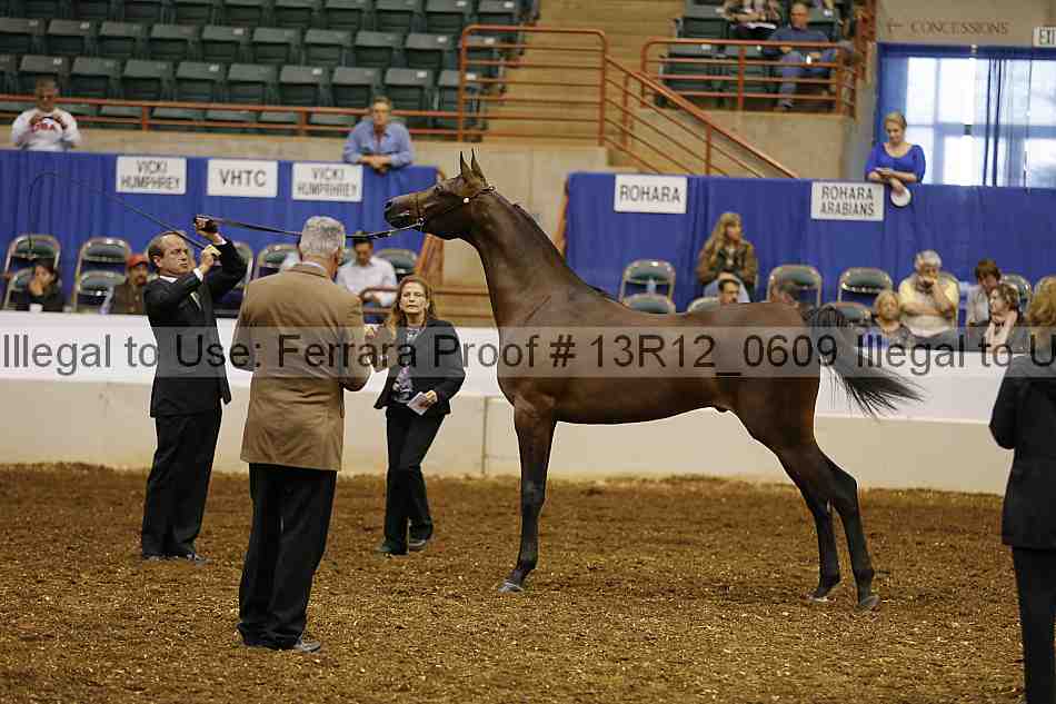 Proof Number 13r12_0609