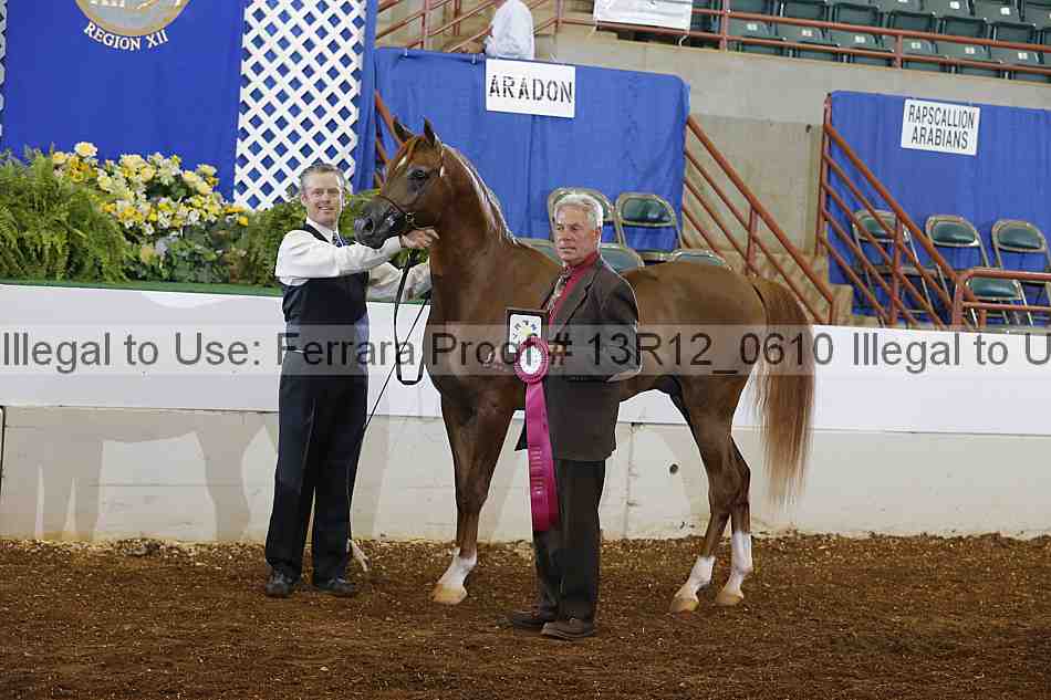 Proof Number 13r12_0610