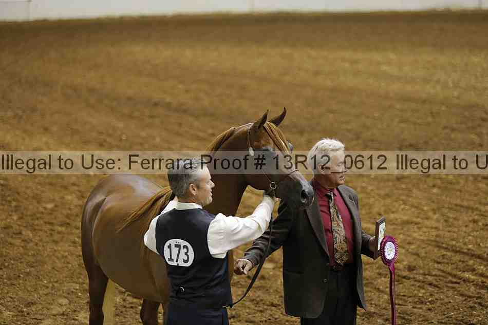 Proof Number 13r12_0612