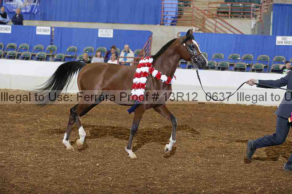 Proof Number 13r12_0637
