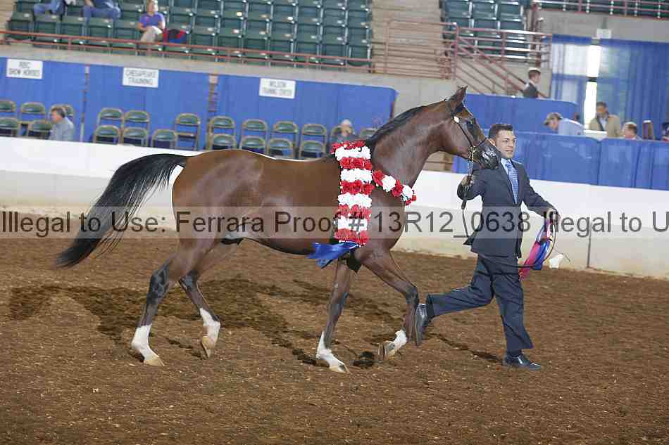 Proof Number 13r12_0638