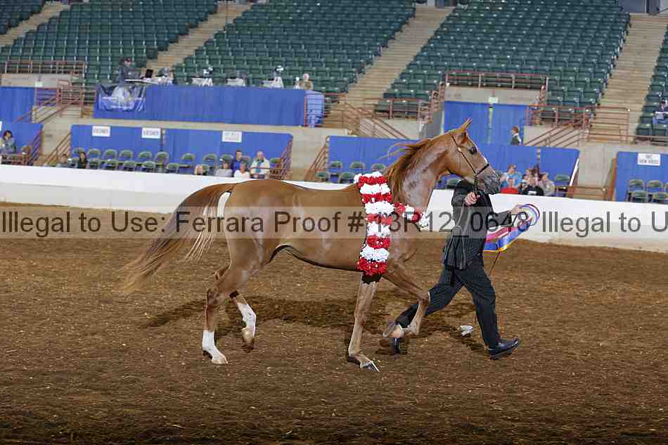 Proof Number 13r12_0648