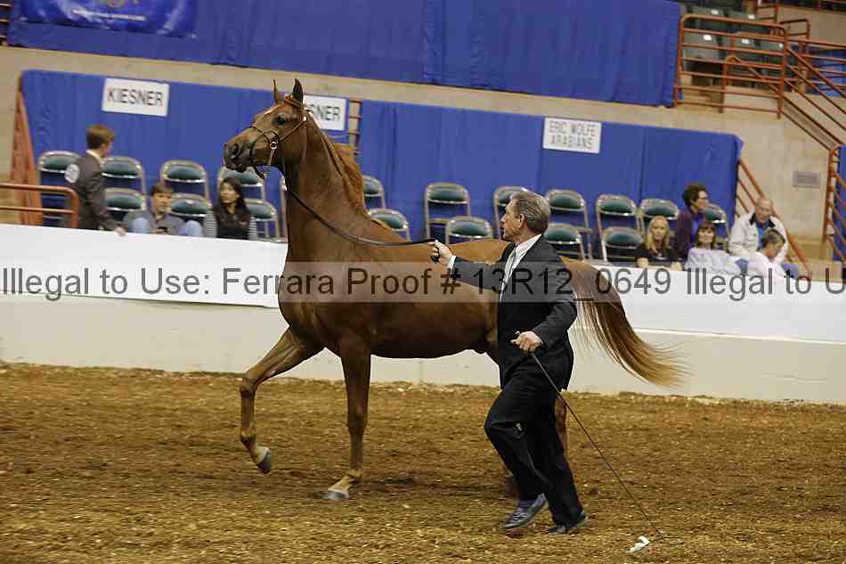 Proof Number 13r12_0649