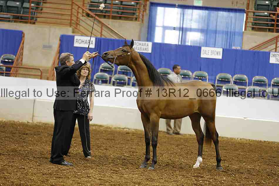 Proof Number 13r12_0666