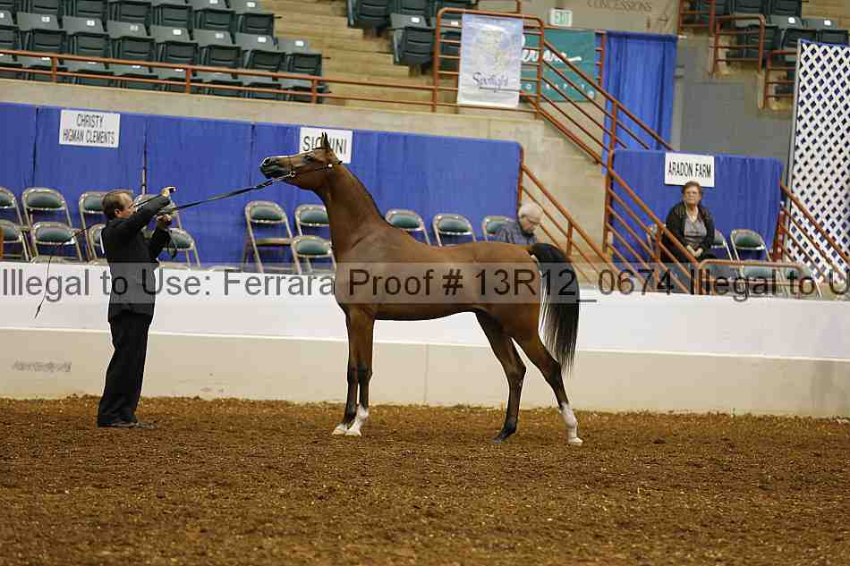 Proof Number 13r12_0674