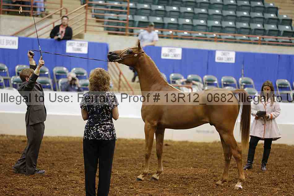 Proof Number 13r12_0682