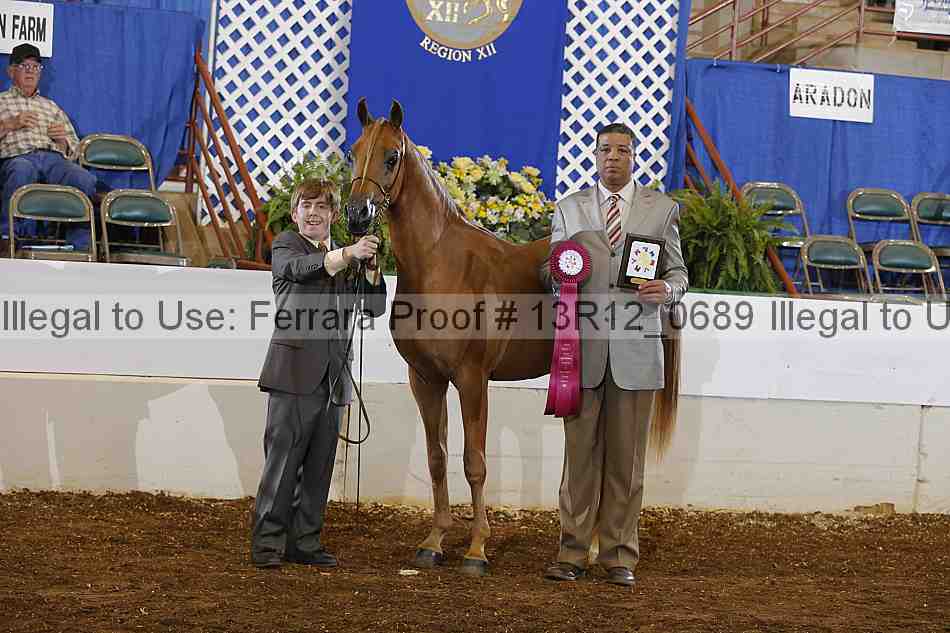 Proof Number 13r12_0689