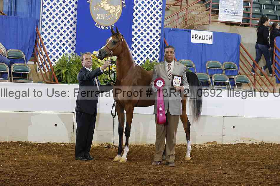Proof Number 13r12_0692