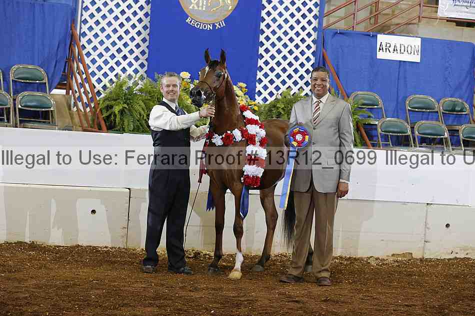 Proof Number 13r12_0699