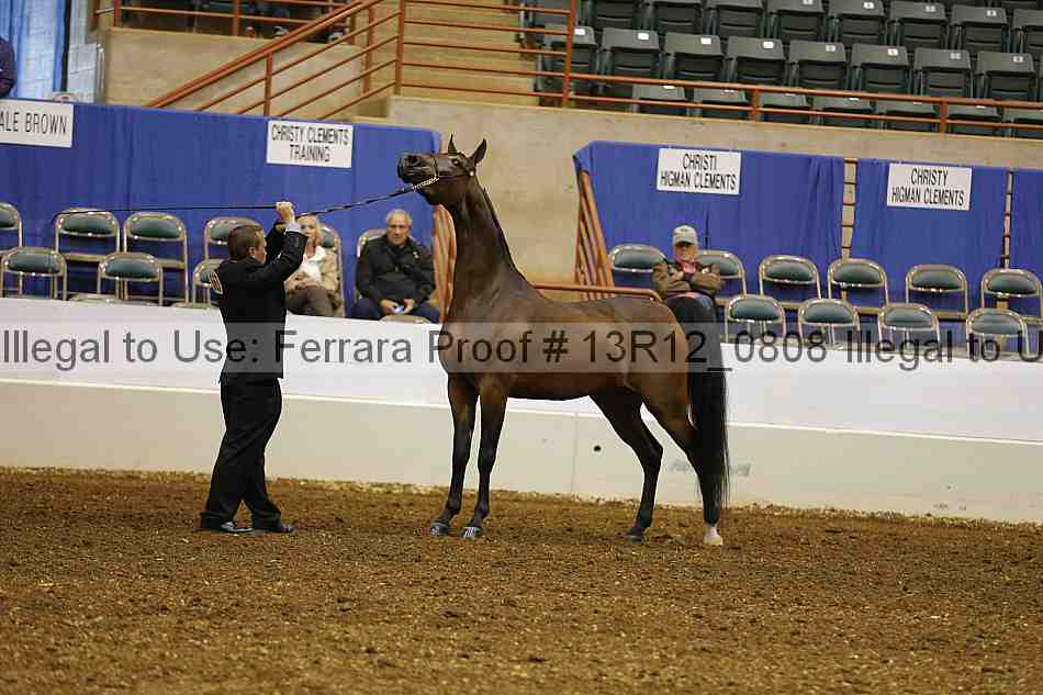 Proof Number 13r12_0808