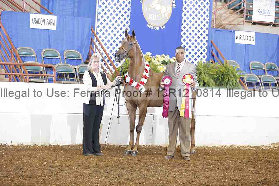 Proof Number 13r12_0814