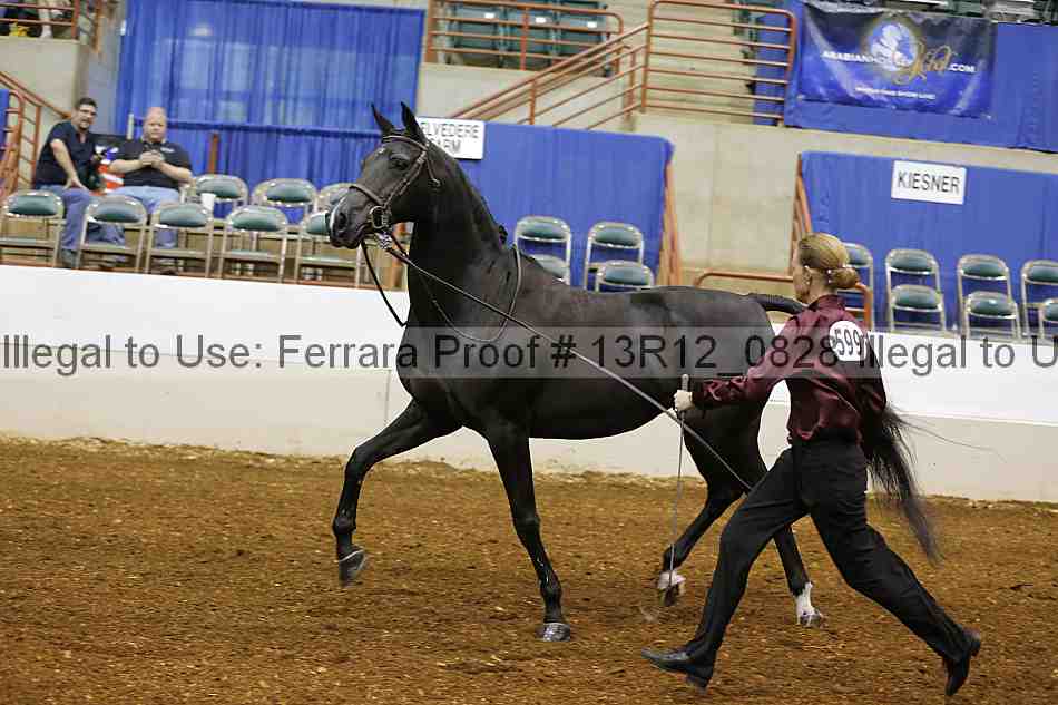 Proof Number 13r12_0828