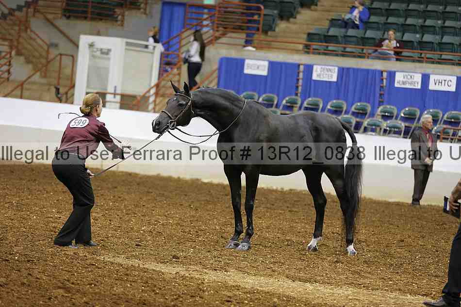 Proof Number 13r12_0838