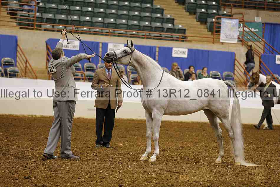 Proof Number 13r12_0841