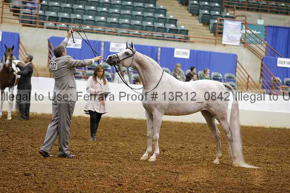 Proof Number 13r12_0842